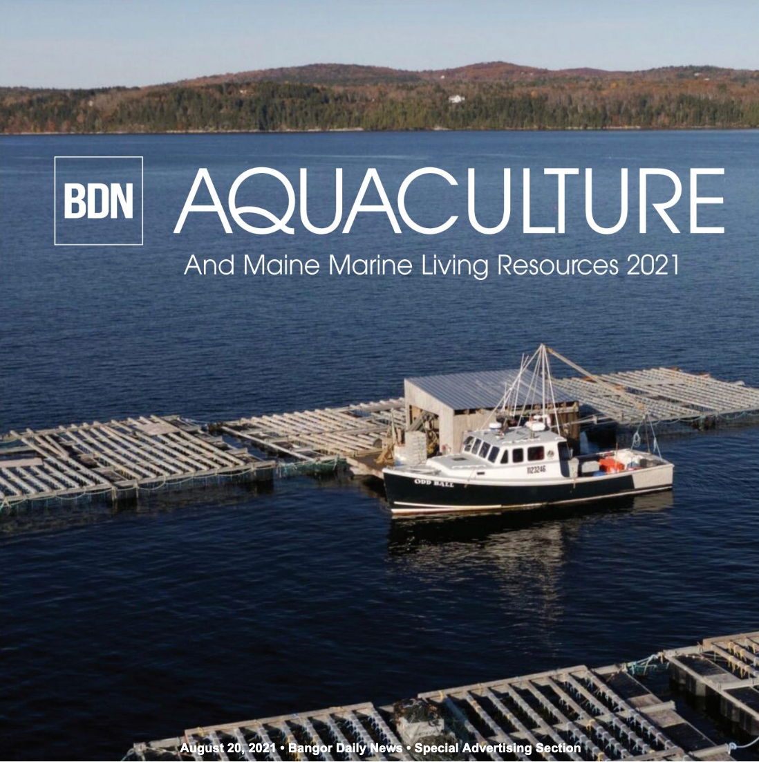 bangor daily news aquaculture and maine marine living resources 2021