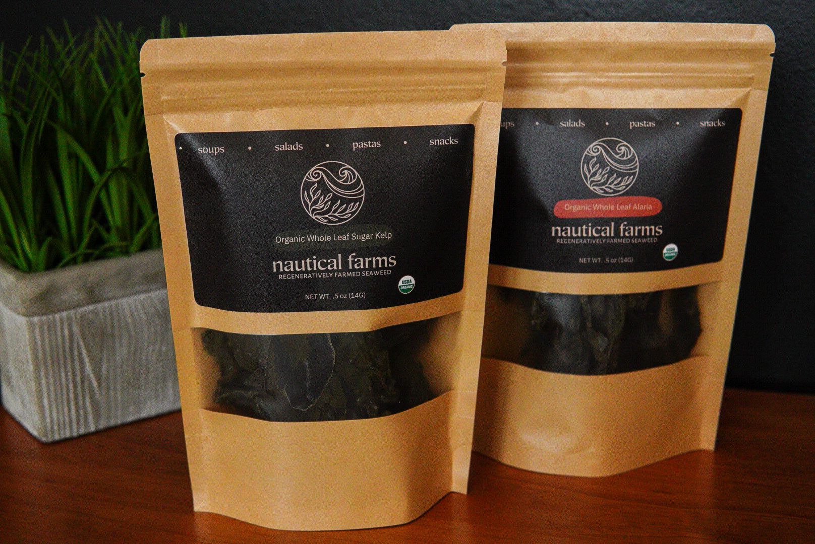 Dried whole leaf, edible seaweed bundle from Maine Ocean Farm, Nautical Farms. .5 bag of Organic Sugar Kelp and .5 oz bag of Organic Alaria (Wakame)