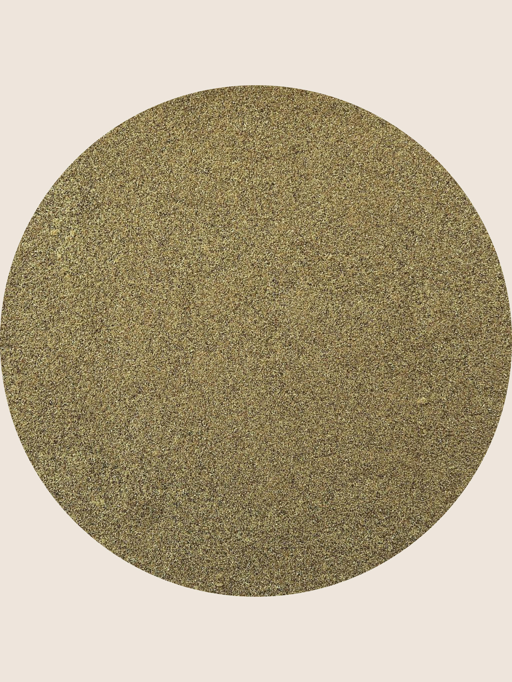 Organic Kelp Powder from regenerative ocean farm & Maine seaweed company