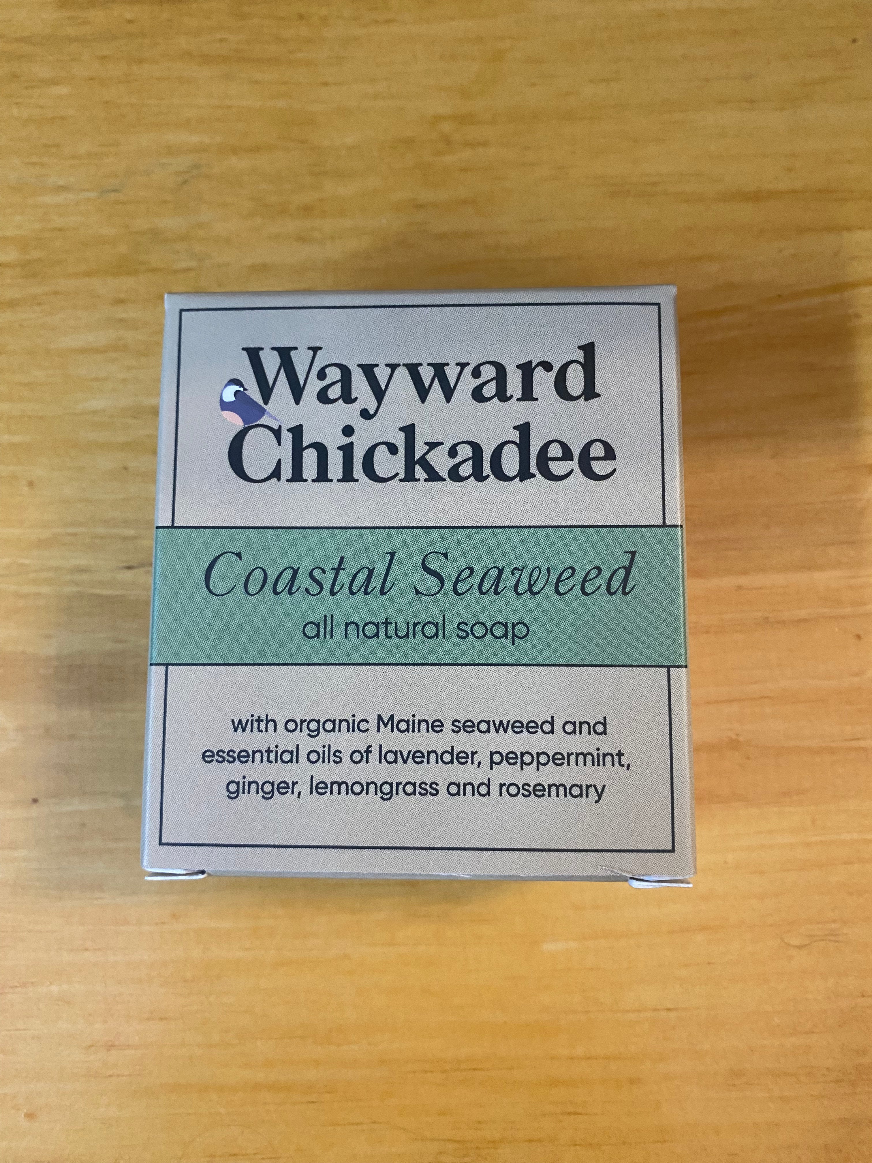 Wayward Chickadee